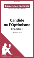 Candide ou l'Optimisme de Voltaire - Chapitre 3 - Commentaire de texte