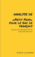 Analyse de «Petit Pays» pour le Bac de français - Analyse des passages clés du roman de Gaël Faye