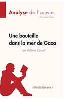 Une bouteille dans la mer de Gaza de Valérie Zenatti (Fiche de lecture) Résumé complet et analyse détaillée de l'oeuvre