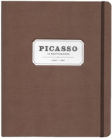 Picasso - 14 Sketchbooks /anglais