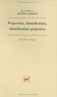 Projection, identification, identification projective