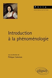 Introduction À La Phénoménologie de Philippe Cabestan