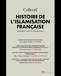 Histoire de l'islamisation française