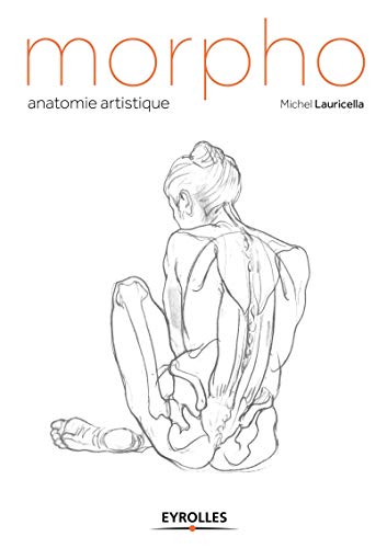 Fonctions musculaires Morpho : anatomie artistique Formes articulaires