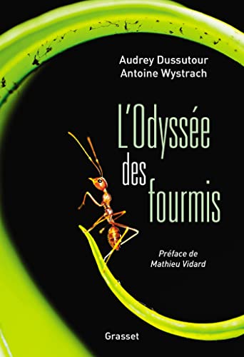 L'Odyssée des fourmis - Préface de Mathieu Vidard d'Audrey Dussutour