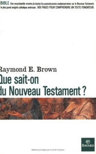 Que sait-on du Nouveau Testament ? de Raymond Edward Brown