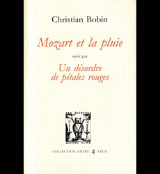LE PLATRIER SIFFLEUR, Bobin Christian pas cher 