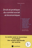 Droit Et Pratique Du Comite Social Et Economique