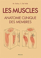 Les muscles - Anatomie clinique des membres