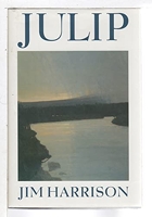 Julip - Houghton Mifflin (Trade) - 01/04/1994
