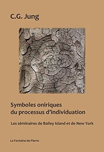 Symboles oniriques du processus d'individuation - Les séminaires de Bailey Island et de New-York de Carl Gustav Jung