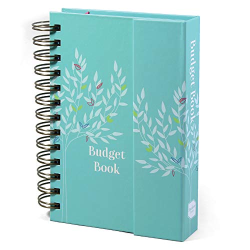 Budget Book Boxclever Press. Cahier de compte et planification  budgétaire les Prix d'Occasion ou Neuf