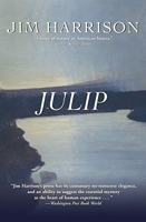 Julip - A Novel (English Edition) - Format Kindle - 10,33 €