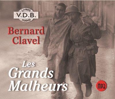 couverture de : Les grands malheurs