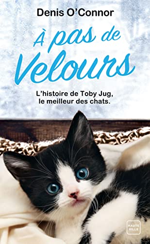 couverture de : &Agrave; pas de velours