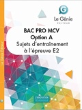 Sujets d'entraînement à l'examen Bac Pro MCV option A - Epreuve E2 : analyse et résolution de situations professionnelles