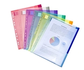 Tarifold 12 Enveloppes Porte-documents Plastique Perforées Fermeture Scratch Format A4-6 couleurs x2 (Bleu, Violet, Vert, Jaune, Rose, Transparent) - 510229