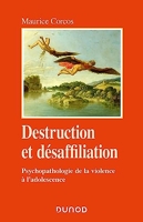 Destruction et désaffiliation - Psychopathologie de la violence à l'adolescence