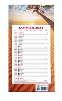 Bouchut 1 Calendrier Bloc Mensuel 2024 à Feuillets, Ambiance Format 19x36cm  Neuf