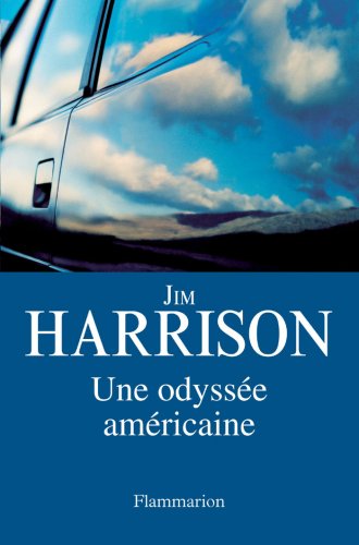 couverture de : Une Odyss&eacute;e am&eacute;ricaine