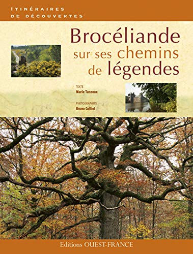 couverture de : Broc&eacute;liande