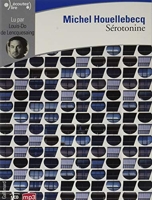 Serotonine - Gallimard - 2019