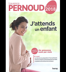 100 réflexes future maman / Patricia Réveillaud