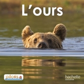 Lecture CP - Collection Pilotis - Album 2 L'Ours - Edition 2013