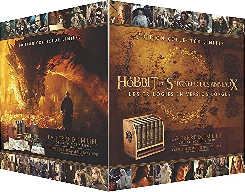 Harry Potter - L'Intégrale - Coffret des 8 Films - Blu-Ray - Edition  limitée - Blu-ray - Achat & prix