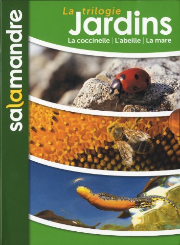 couverture de : L'affaire coccinelle