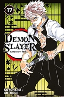 Demon Slayer - Tome 17