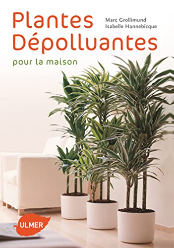 couverture de : Plantes d&eacute;polluantes pour la maison