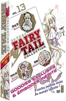 Fairy Tail Collection-Vol. 13