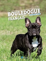 La famille Bouledogue Français - Famille exclusive Sylvanian