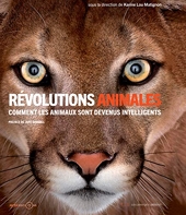 Révolutions animales - Comment les animaux sont devenus intelligents