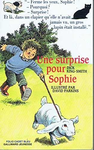 couverture de : Une surprise pour Sophie
