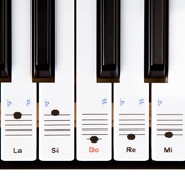 Autocollants de piano, Adhésif-clavier transparent Stickers de piano De  les Prix d'Occasion ou Neuf