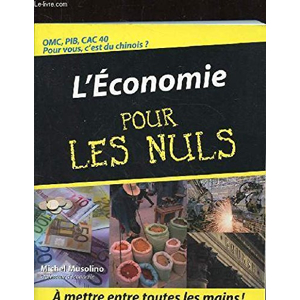 L'économie Pour les Nuls, 3ème édition