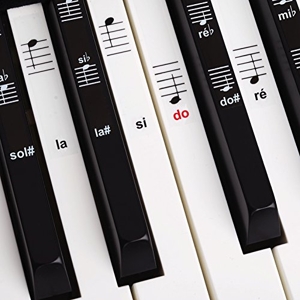 Rockjam Banc de clavier Premium RockJam rembourré réglable ou tabouret de  piano numérique