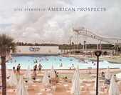 Joel Sternfeld - American Prospects