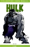 Hulk T03 Gris