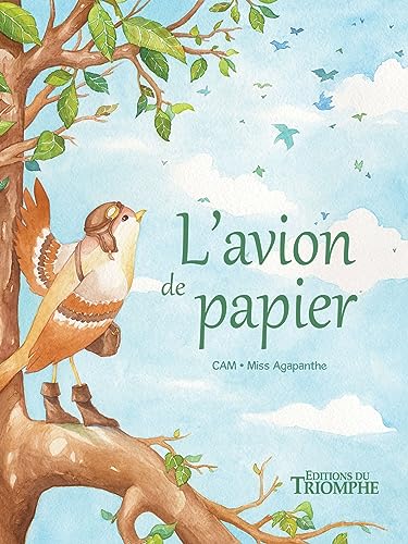 couverture de : L'Avion de papier