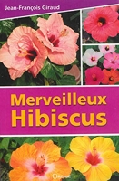 Merveilleux hibiscus