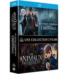 Wizarding World - Harry Potter / Les Animaux fantastiques - L'intégrale  coffret 11 films 4K Blu-ray (4K Ultra HD) (France)