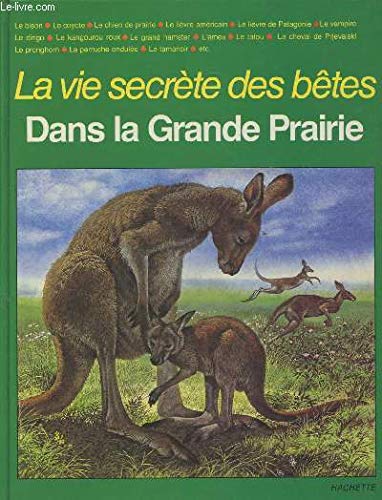 couverture de : Dans la grande prairie