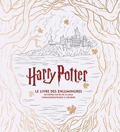 Harry Potter, Le Livre Des Enluminures 80 Scenes Cultes De La Saga Cinematographique A Colorier