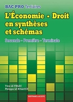 L'Economie-Droit en synthèses et schémas - Bertrand-Lacoste - 17/05/2013