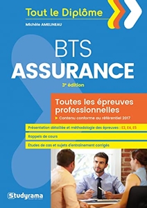 BTS Assurance de Michèle Amelineau