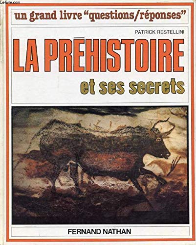 couverture de : La pr&eacute;histoire et ses secrets
