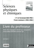 Sciences physiques et chimiques - 1re/Term Bac Pro by Daniel Sapience (2010-06-12) - Nathan - 12/06/2010